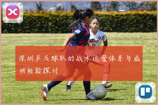 深圳乒乓球队的战术运营体系与成功经验探讨