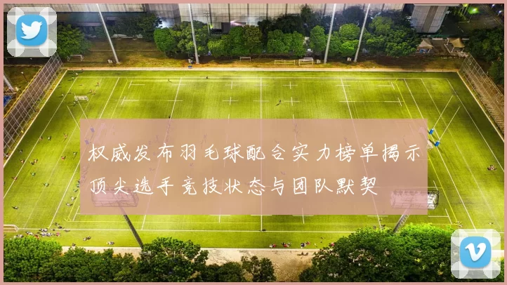 权威发布羽毛球配合实力榜单揭示顶尖选手竞技状态与团队默契