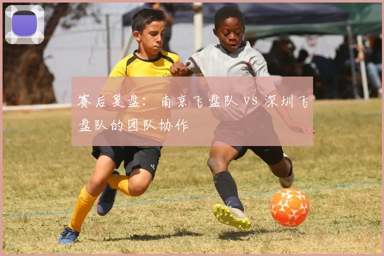 赛后复盘：南京飞盘队 vs 深圳飞盘队的团队协作