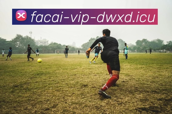 MK体育服务体系